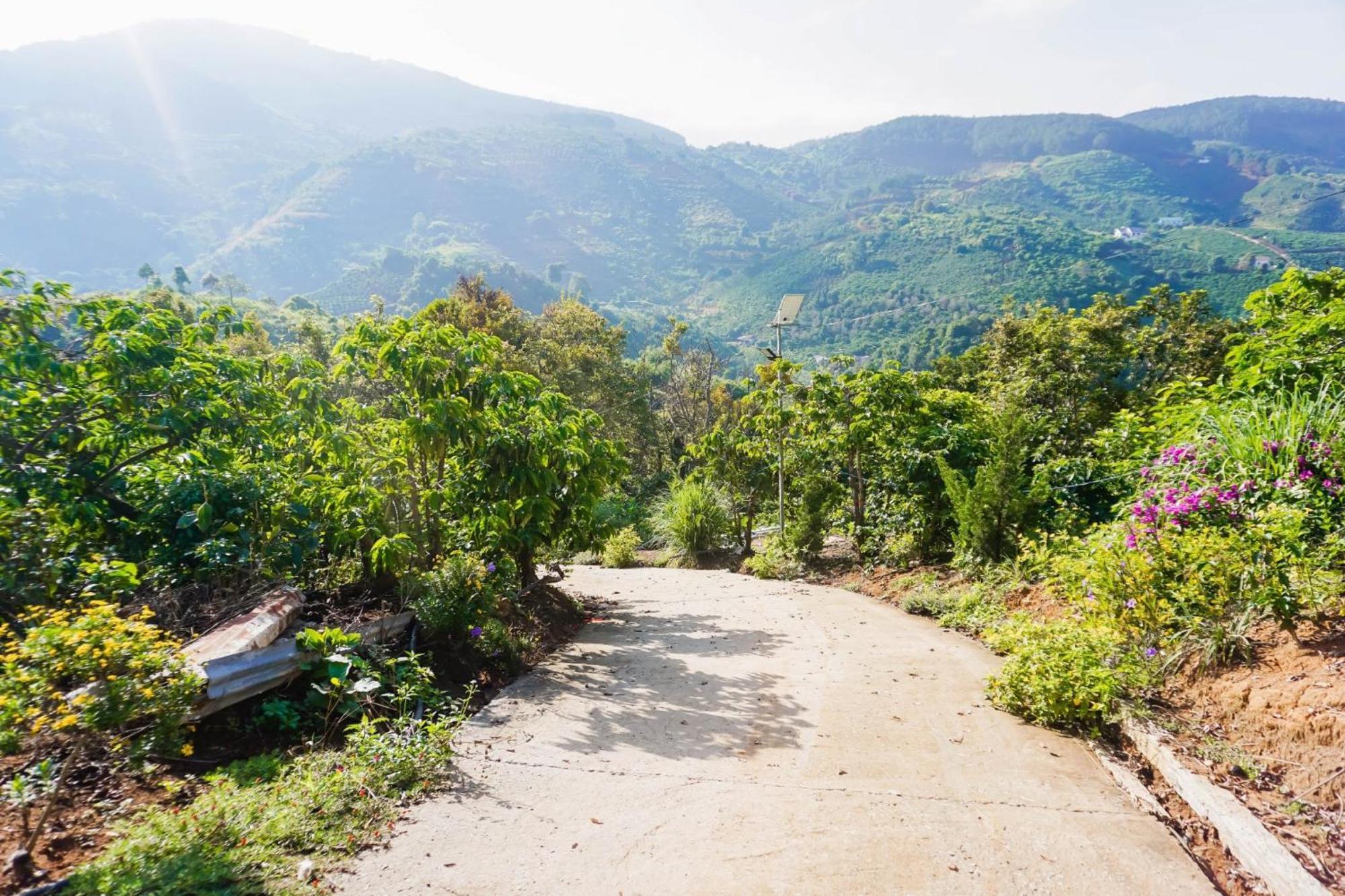 Farm Co Chu Tuan Ha Bed and Breakfast Da Lat Buitenkant foto